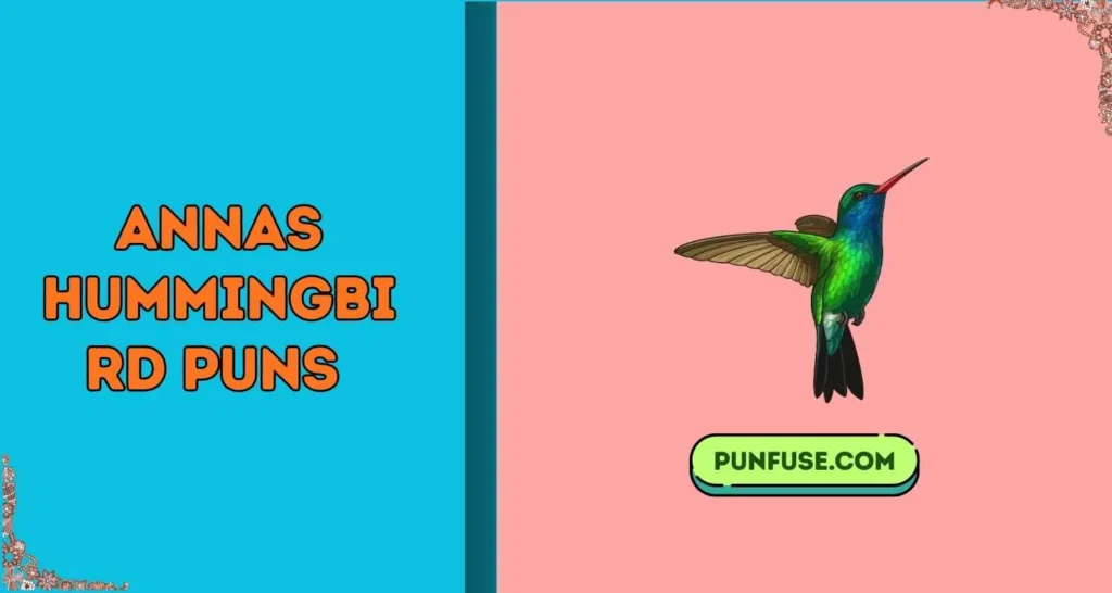 Annas Hummingbird Puns
