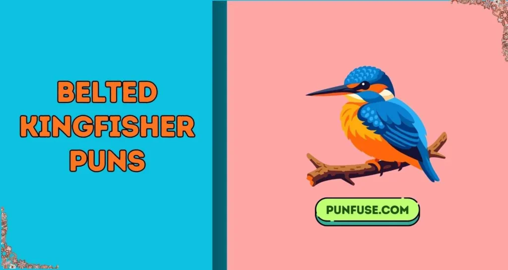 Belted kingfisher puns