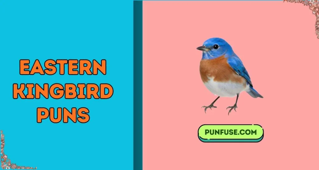 Eastern Kingbird Puns