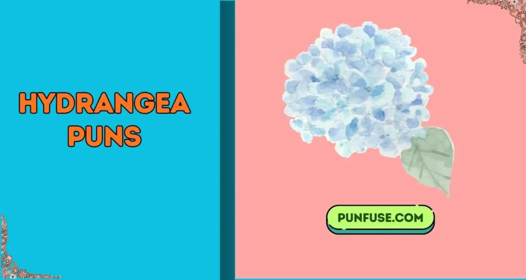 Hydrangea Puns