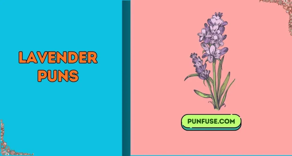 Lavender Puns