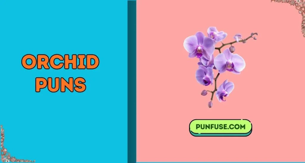 Orchid Puns