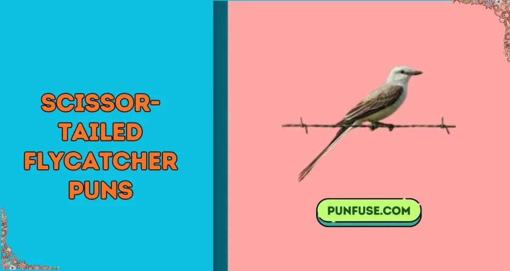 Scissor-tailed Flycatcher Puns