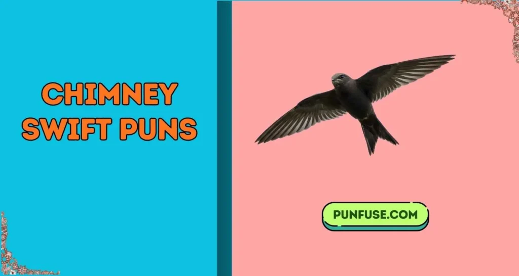 chimney swift puns