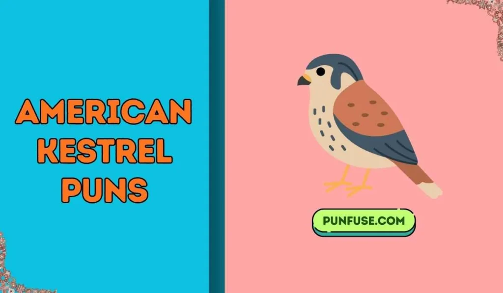American Kestrel Puns