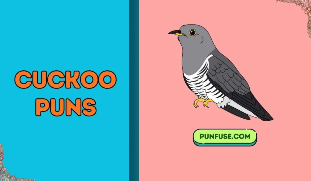 Cuckoo Puns