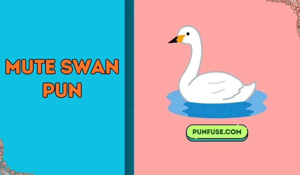 Mute Swan Pun