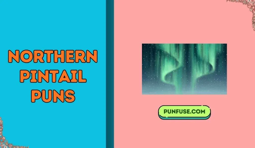 Northern Pintail Puns