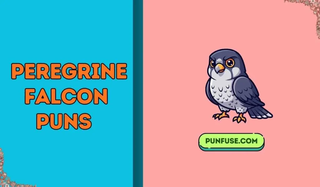 Peregrine Falcon Puns