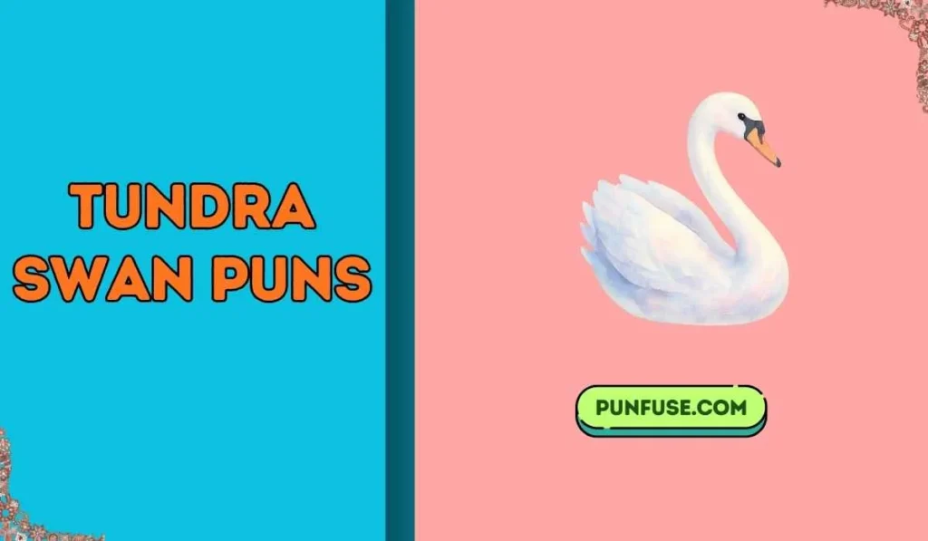 Tundra Swan Puns