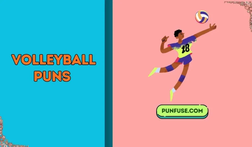 Volleyball Puns