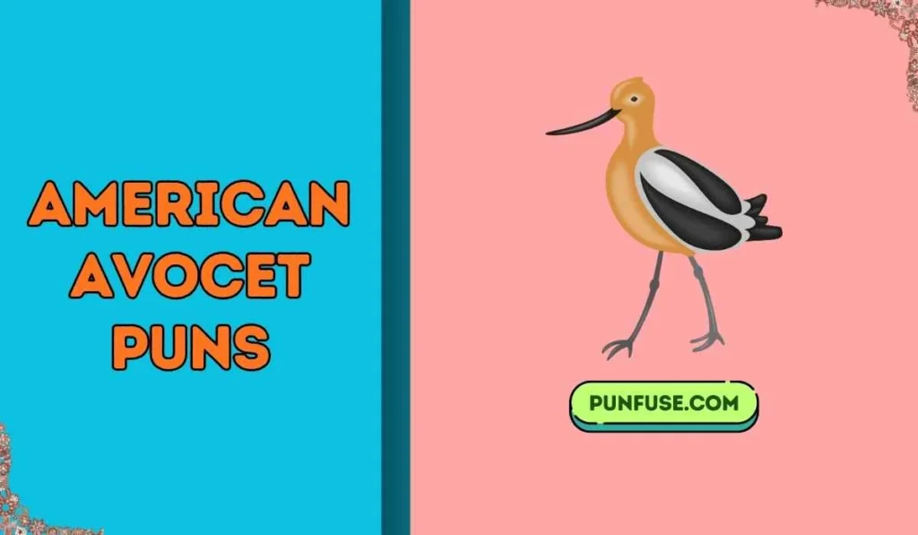 american avocet puns
