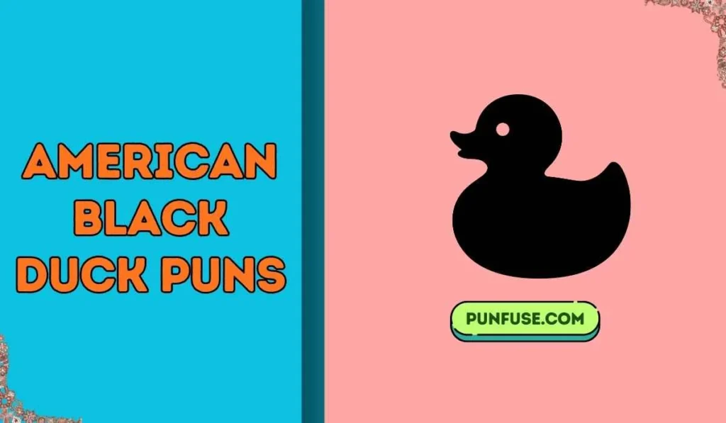 american black duck puns