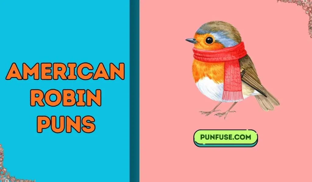 american robin puns