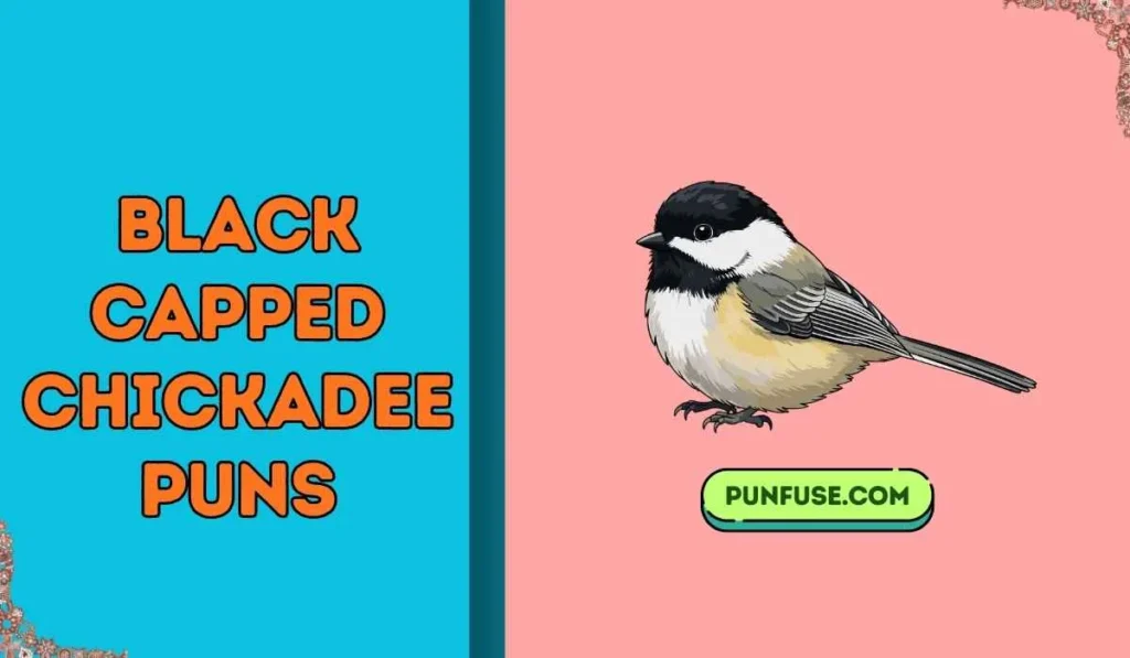 black capped chickadee puns