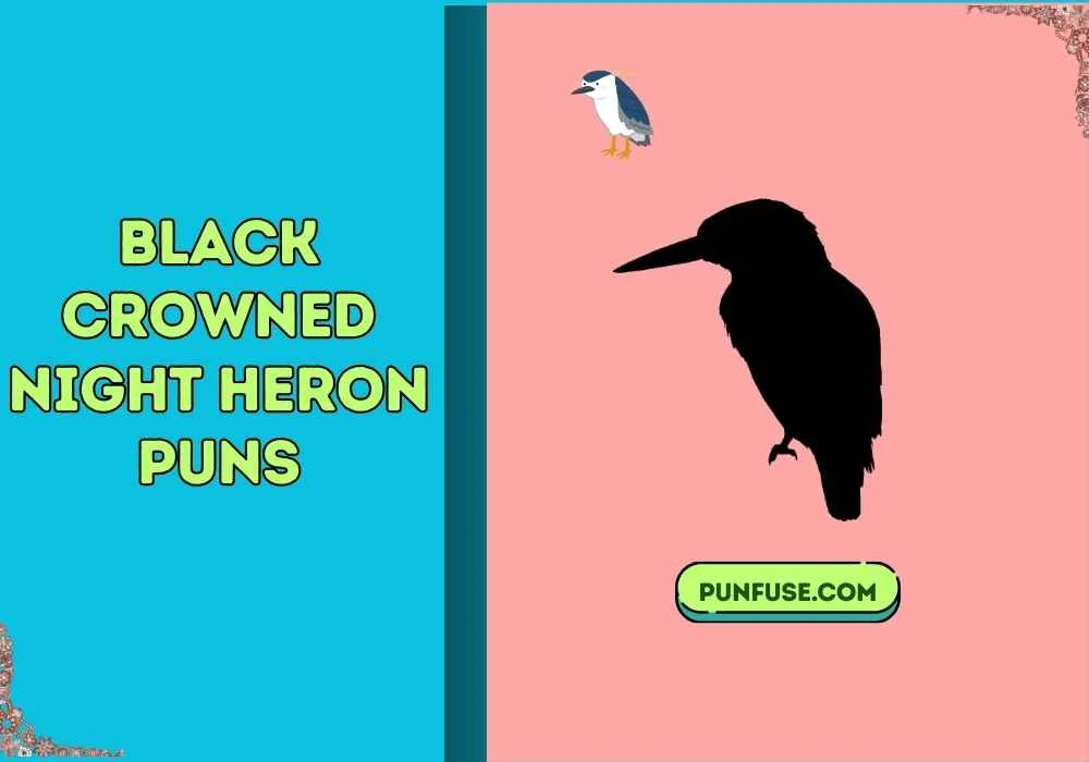 black crowned night heron puns