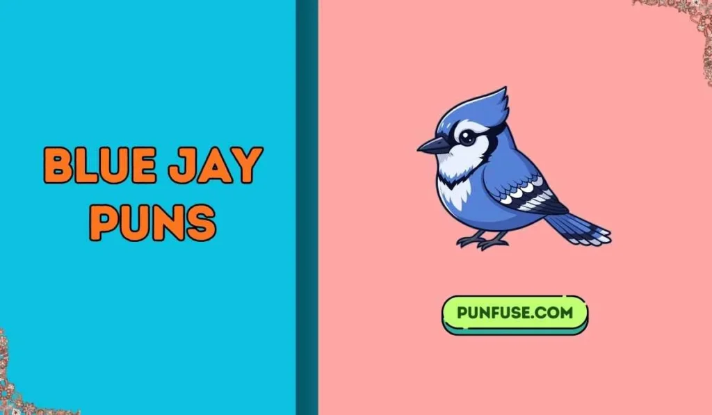 blue jay puns