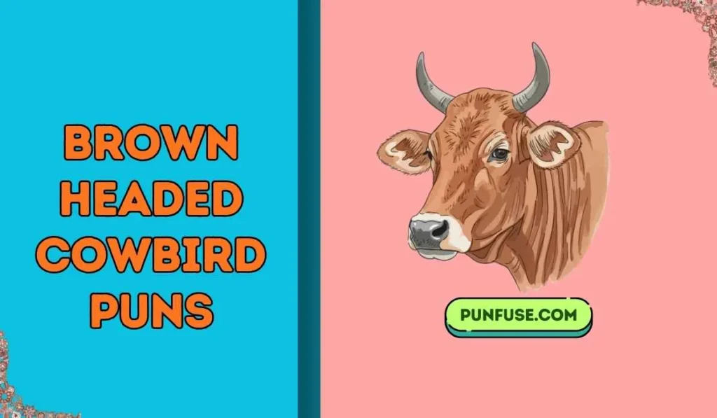 brown headed cowbird puns
