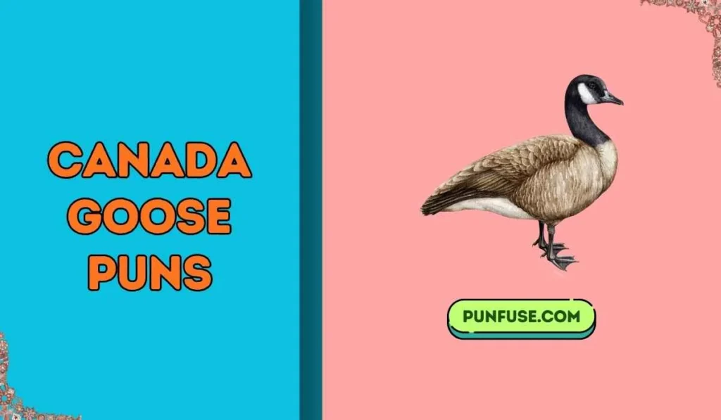 canada goose puns