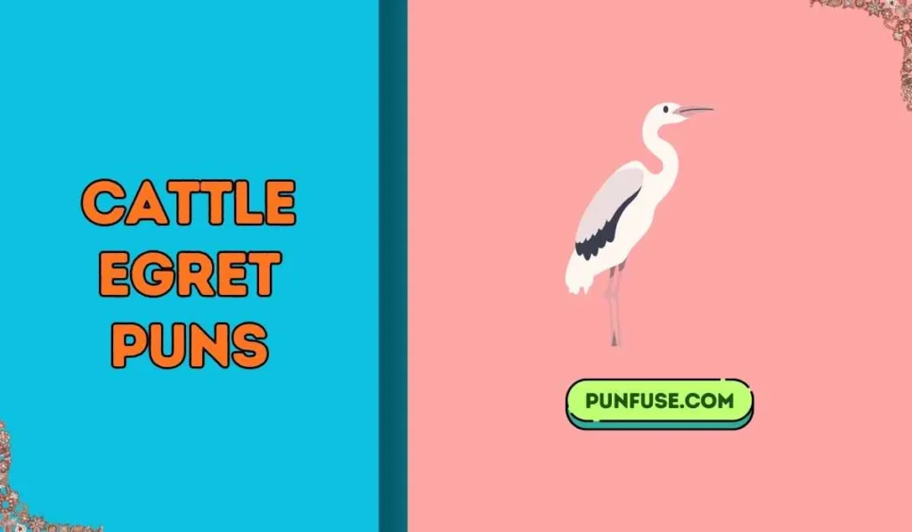 cattle egret puns