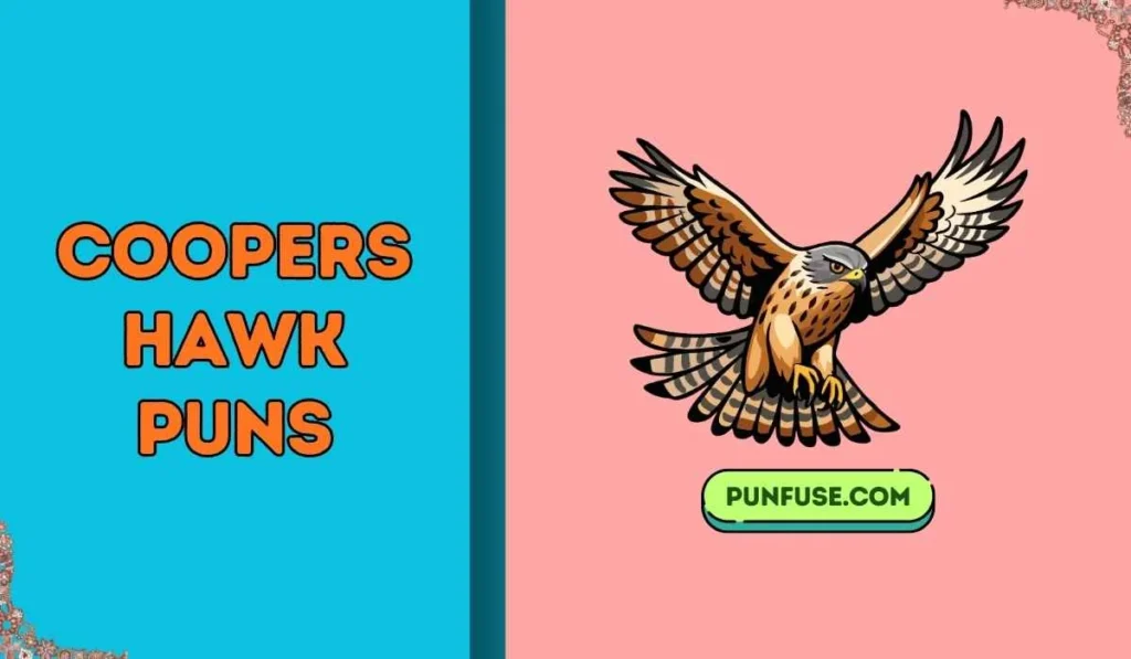 coopers hawk puns