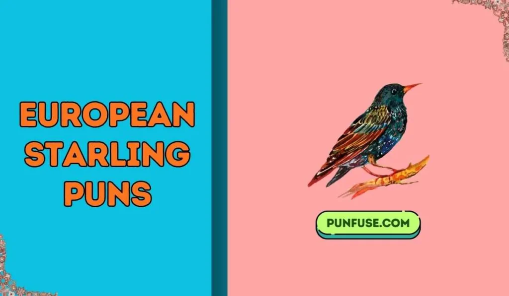 european starling puns