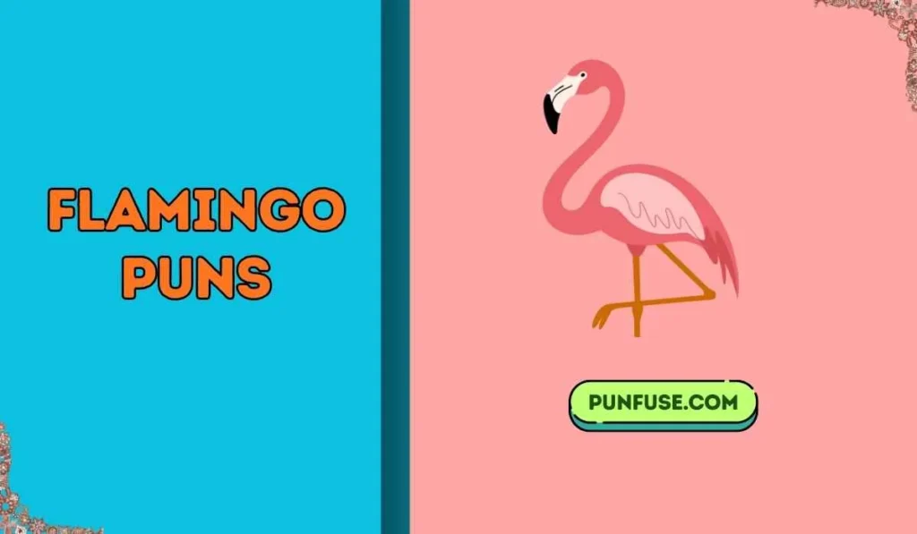 flamingo puns