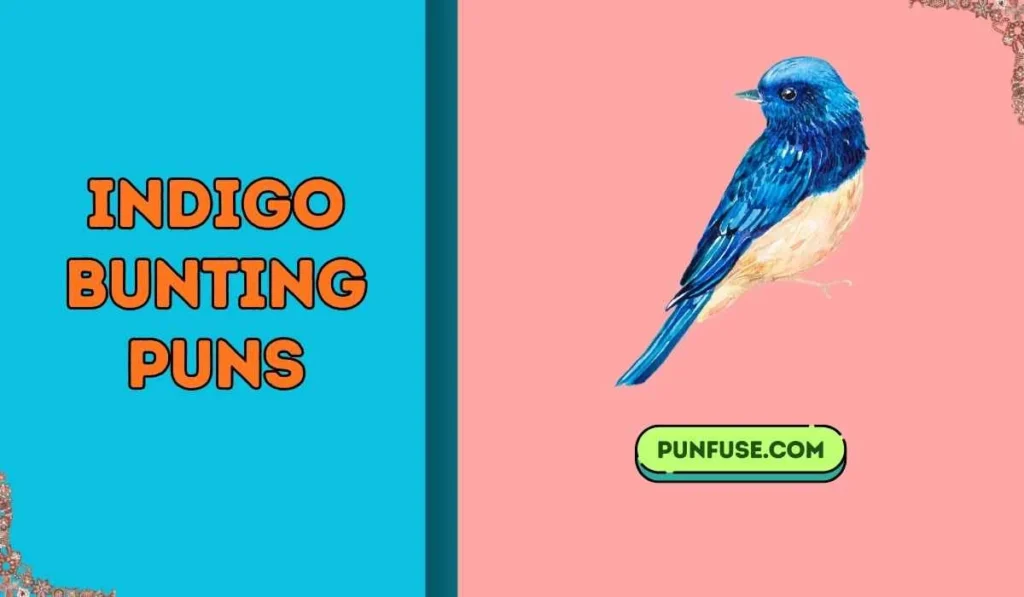 indigo bunting puns
