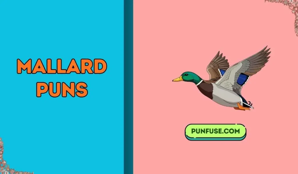 mallard puns