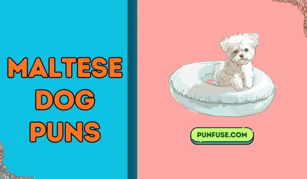 maltese dog puns