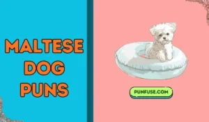 maltese dog puns