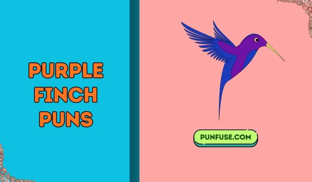 purple finch puns