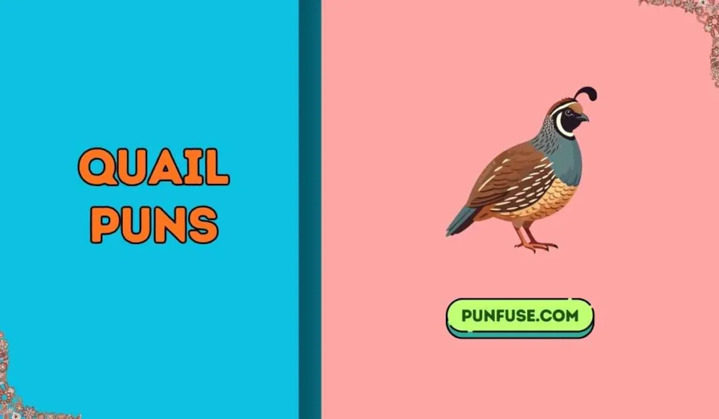 quail puns