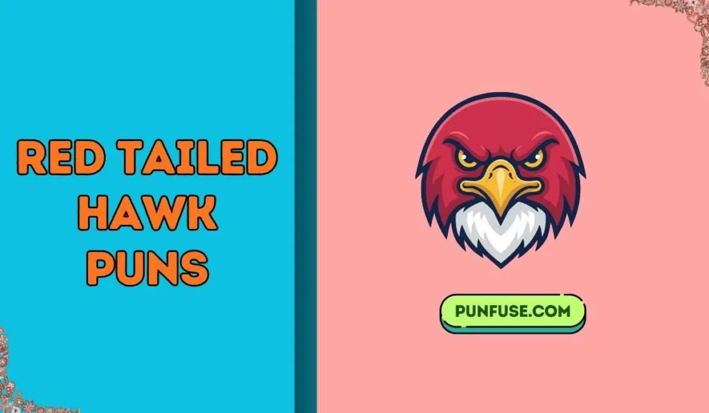 red tailed hawk puns