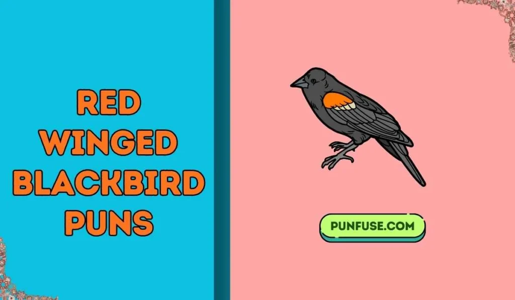 red winged blackbird puns