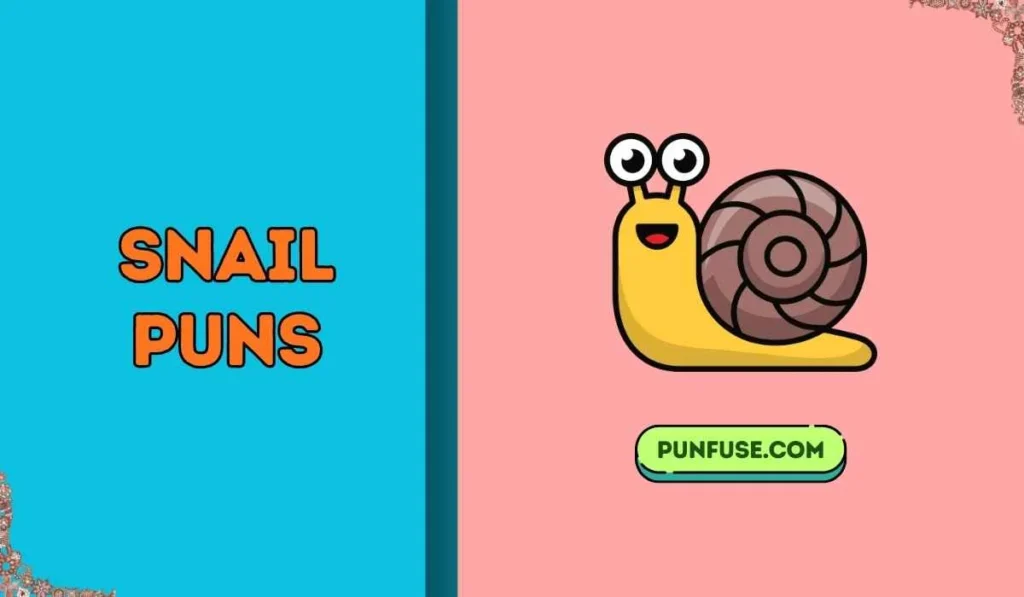 snail puns