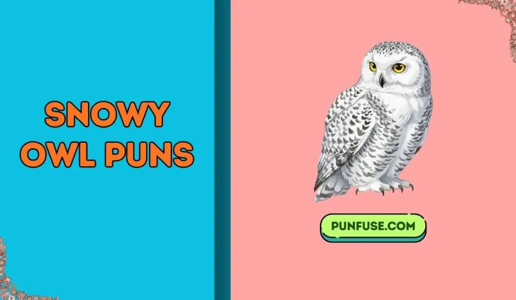 snowy owl puns