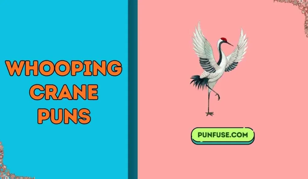 whooping crane puns