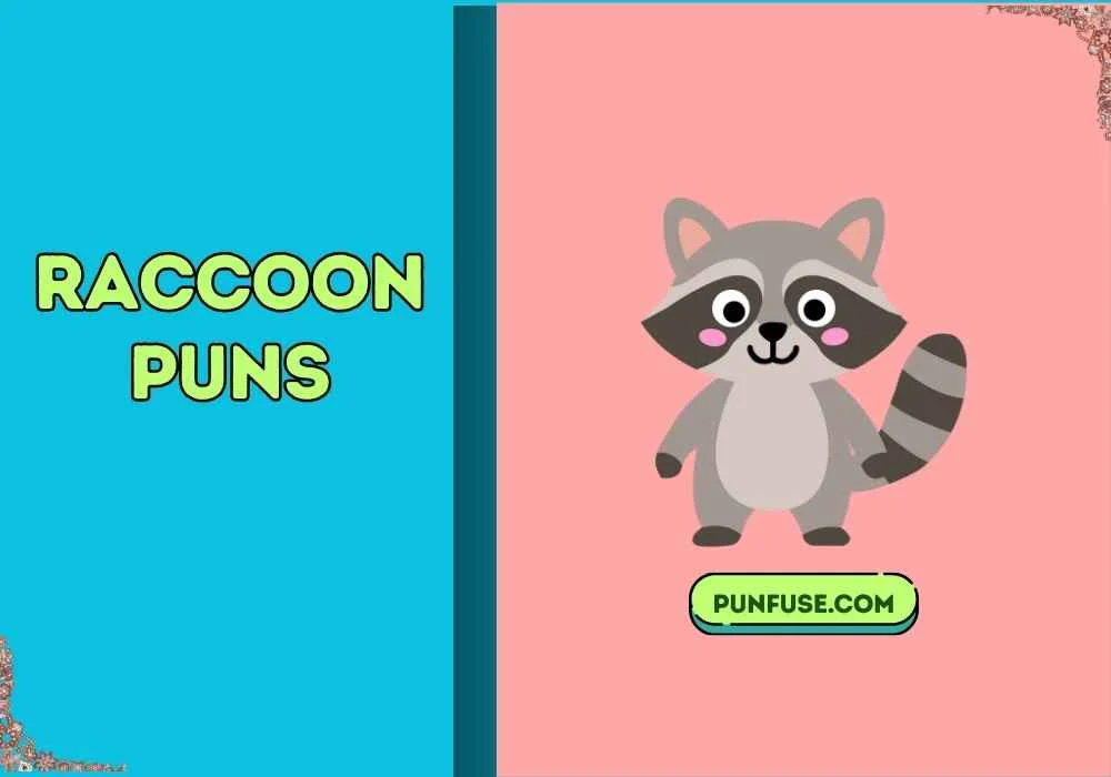 raccoon puns